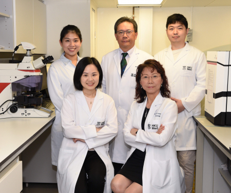 The HKUMed research team: Professor Leung Suet-yi (right, front), Professor Simon Law Ying-kit (centre, back), and Professor Helen Yan Hoi-ning (left, front).
 